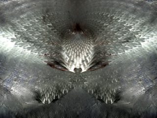 Práctica de Clase 8