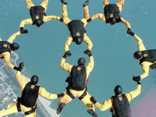 Clase 11 : La Trascendencia de la Individualidad y la Conciencia de Grupo : La Casa 11